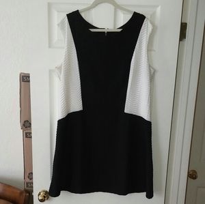 Enfocus Womens Dress